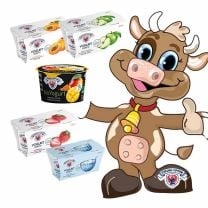Joghurt Spezialitäten vom Milchhof Sterzing als Probierset in fünf verschiedenen Sorten (können vom Bild abweichen).