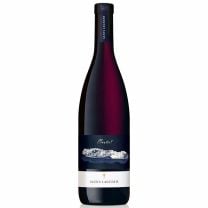Südtiroler Rotwein Merlot BIO DOC Weingut Alois Lageder dezent beerig-würzige Aromen, ausgewogen- fruchtigen Geschmack, saftig-harmonischer Abgang.
